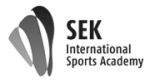 Logotipo de SEK
